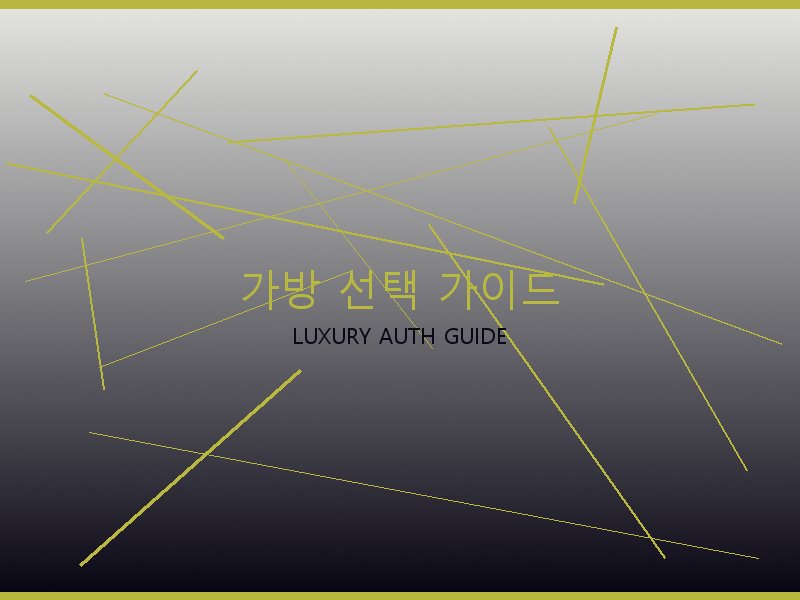 루이비통 뚜주흐 미러급 사이트 가방 선택 가이드
