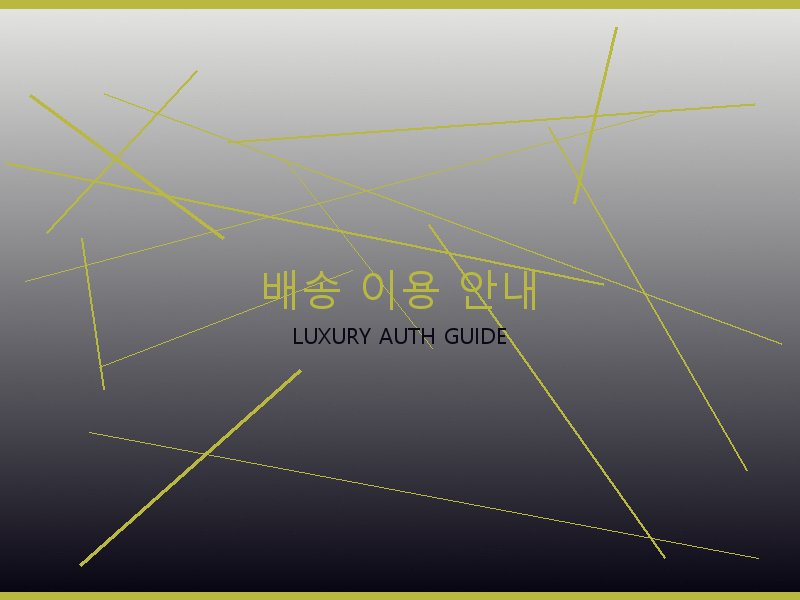 루이비통 뚜주흐 미러급 사이트 배송 이용 안내