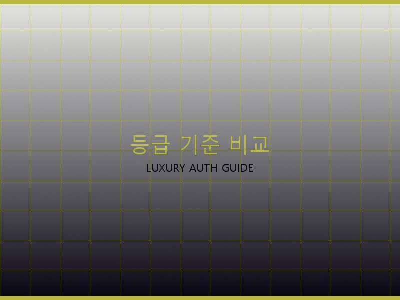 루이비통 뚜주흐 미러급 사이트 등급 기준 비교