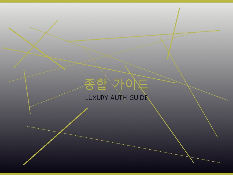 루이비통 뚜주흐 미러급 사이트 종합 가이드