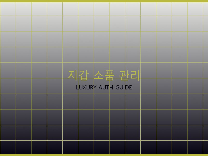 루이비통 뚜주흐 미러급 사이트 지갑·소품 관리